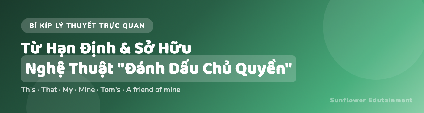 Từ hạn định, từ sở hữu (Determiners & Possessives)