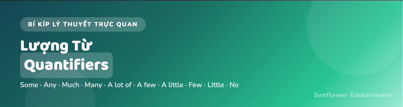 Lượng từ (Quantifiers)
